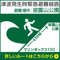 津波発生時緊急避難経路 避難場所：披露山公園
